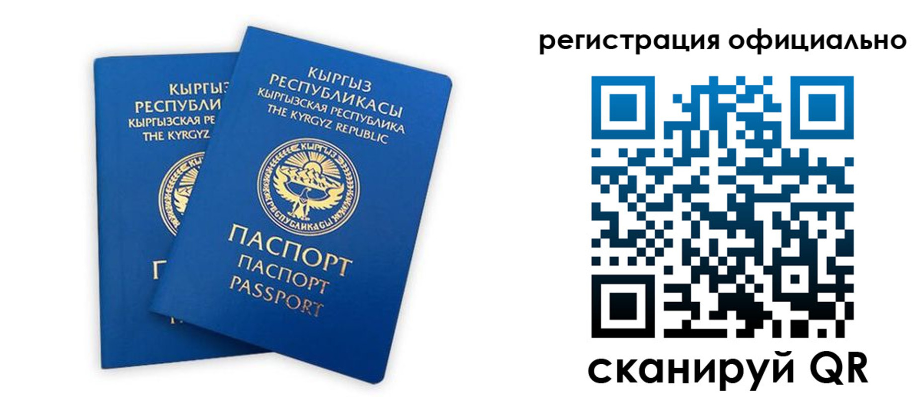 прописка поиск в Киржаче